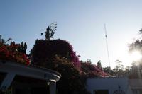 privates Gut in Nasca (10)