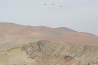 Sandfärbungen auf dem Weg zu Ballestas Inseln (3)