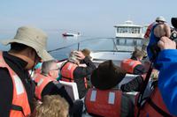 Schnellbootfahrt zu den Ballestas Inseln (3)