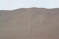 Schnellbootfahrt zu den Ballestas Inseln (13)