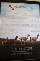 Spaziergang durch Arequipa (11)