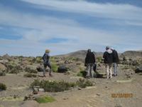 142_Unsere Fahrt nach Puno - STopp auf über 4900 Metern Höhe