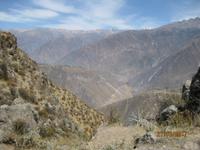 133_Das Colca Tal - Kleine Wanderung