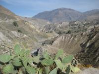 129_Das Colca Tal - Anbaukultur auf Terrassen