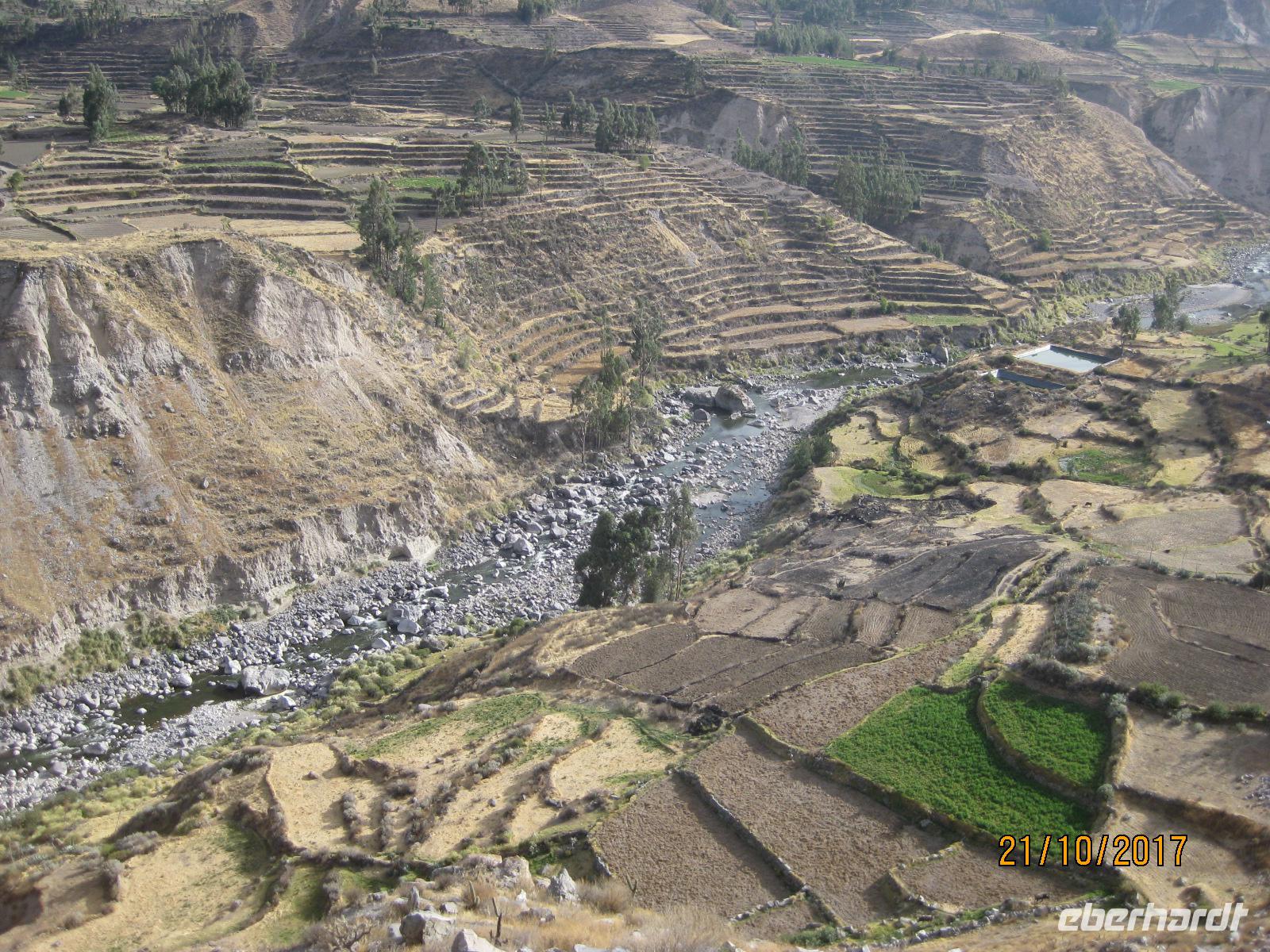 126_Das Colca Tal - Anbaukultur auf Terrassen