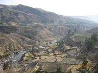 125_Das Colca Tal - Anbaukultur auf Terrassen