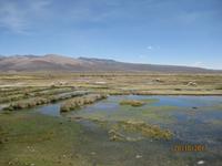 108_Unsere Fahrt in das Colca Tal - Unendliche Weite und Lagunen