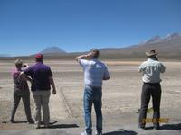 96_Unsere Fahrt in das Colca Tal - die erste Vicuna Herde