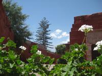 90_Auf Stadtrundgang durch das Altsatdtzentrum von Arequipa - Kloster Santa Katalina