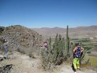 91_Unsere Fahrt in das Colca Tal