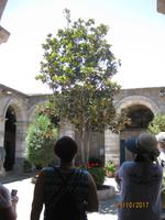 83_Auf Stadtrundgang durch das Altsatdtzentrum von Arequipa - Kloster Santa Katalina