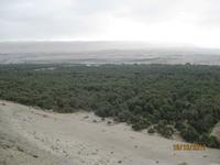 54_Auf unserer Fahrt in Richtung Arequipa