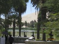 45_Oase Huacachina
