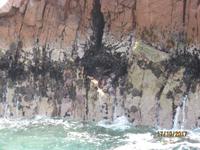 39_Unsere Bootsfahrt zu den Ballestas Inseln