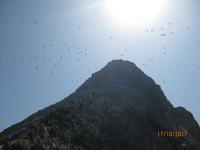 35_Unsere Bootsfahrt zu den Ballestas Inseln (2)