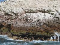 32_Unsere Bootsfahrt zu den Ballestas Inseln