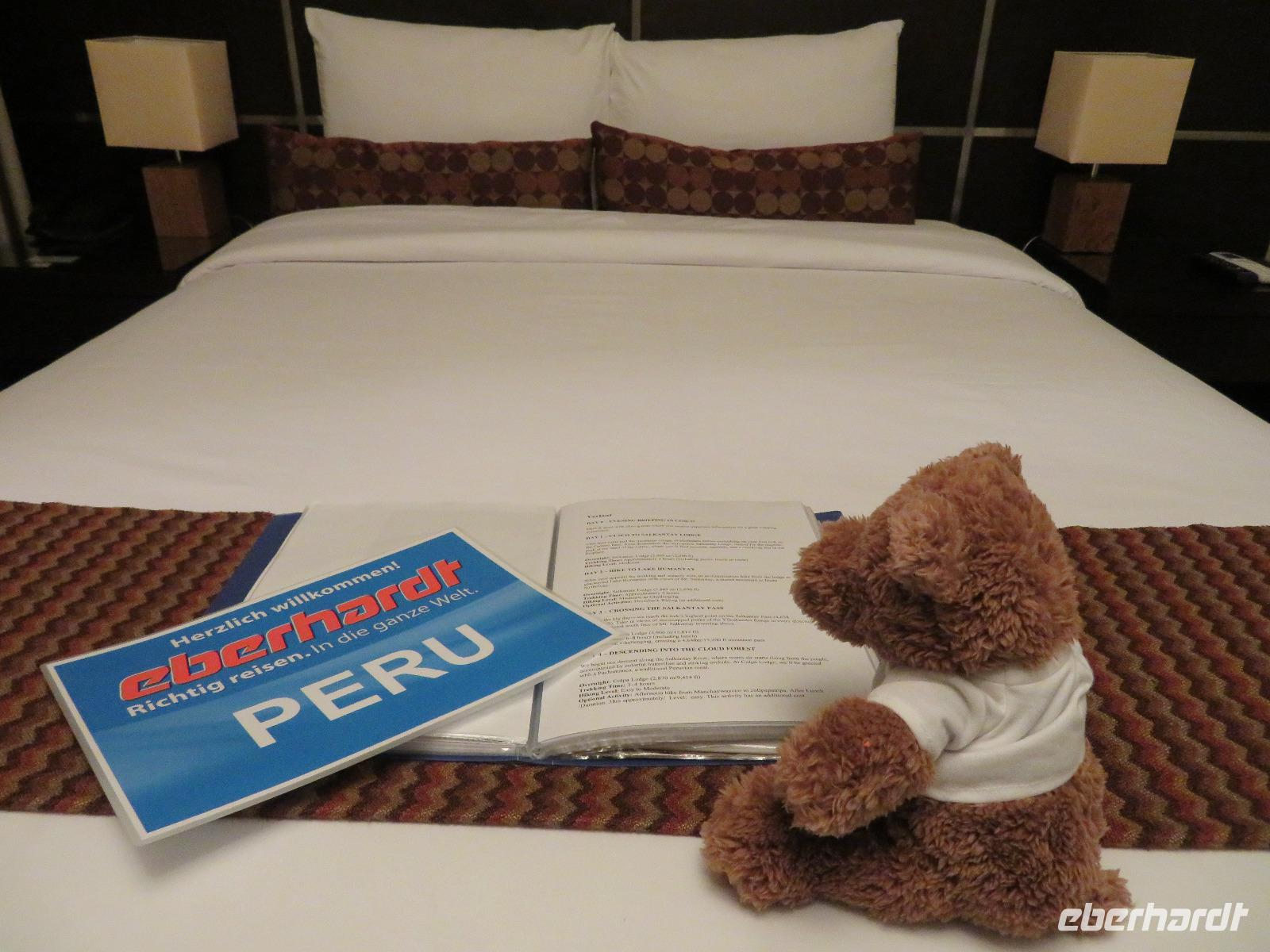 Reisebär studiert das Programm