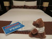 Reisebär studiert das Programm