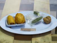 wir lernen die neue Umgebung kennen