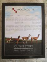 Es gibt also doch noch mehr als nur Lamas