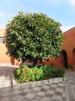 Kloster Santa Catalina