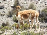 Komm her und knuddel mich 