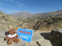 Bärli genießt den Ausblick