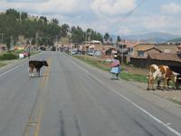 Die Straße ist für alle da