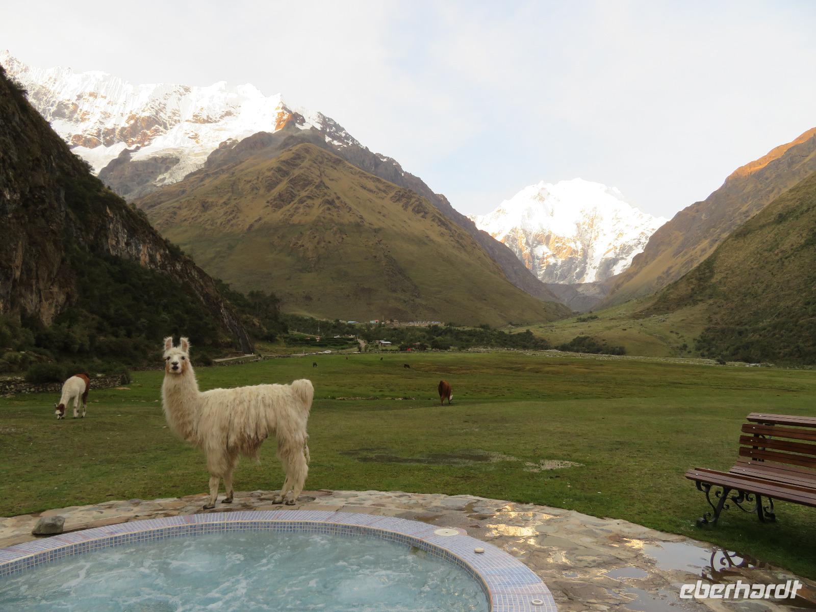 Darf ich auch mit rein?