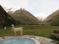 Darf ich auch mit rein?