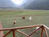 Freunde sind auch schon unterwegs