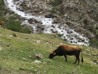 Wanderung Humantay See