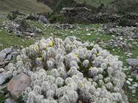 Wanderung Humantay See