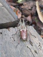 Wanderung zur Colpa Lodge