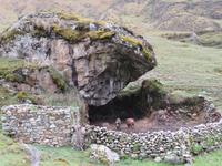 Wie sind die Schweine nur dahin gekommen?