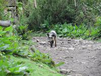 Achtung Straßenbarrikade