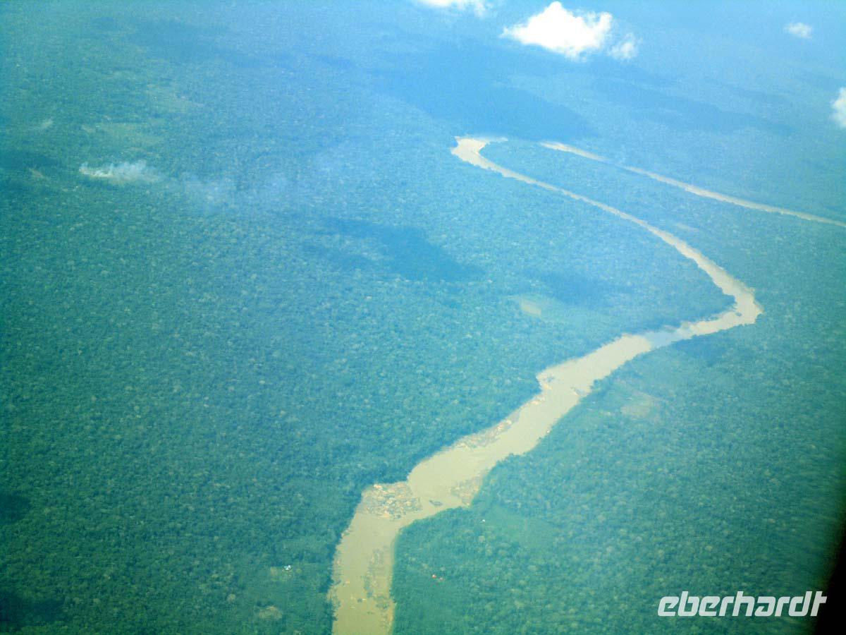 Unendlicher Wald erwartet uns