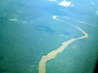 Unendlicher Wald erwartet uns