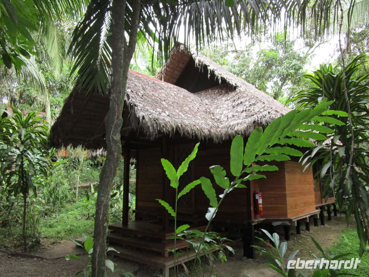 Unsere Hütten im Regenwald