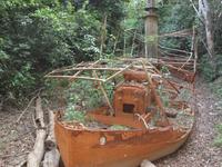 Das Wrack der Fitzcarraldo