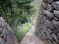 In Machu Picchu muss man Treppen steigen