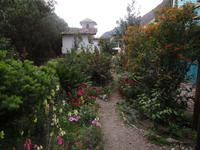 In der Bierbrauerei im Urubambatal