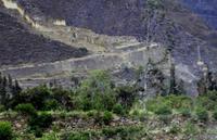 Inkafestung in Ollantaytambo