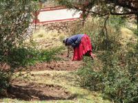 Das Landleben ist oft mühselig