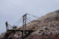 Ballestas-Inseln: Alter Anleger für den Abtransport des Guanos