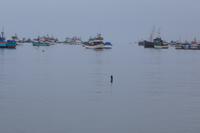 Piquero im Sturzflug III: Einschlag in die Wasseroberfläche
