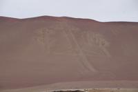 Der Armleuchter: El Candelabro, wahrscheinlich aber eine Darstellung des meskalinhaltigen San Pedro-Kaktus