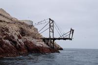 Zum Guano-Abtransport