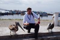 Reiseleiter mit Pelikanen
