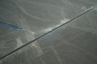 Nazca: Die Eidechse (geschnitten von der Panamericana), der Baum und die Hände